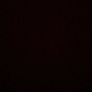 Meet your Posher, Bailey